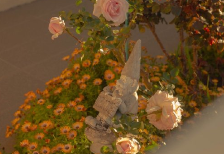 秋天短暂而美好的语录 秋去秋来的唯美句子 秋天短暂而美好的语录 秋去秋来的唯美句子