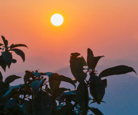 迄今为止最最最最喜欢的网名 全网最好的昵称最新版合集 迄今为止最最最最喜欢的网名 全网最好的昵称最新版合集