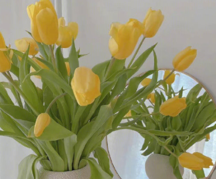 顺其自然的经典句子 一切随缘不强求的文案 顺其自然的经典句子 一切随缘不强求的文案