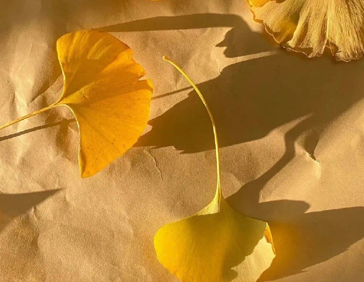 希望爸妈平安健康说说 愿时光不老父母安康的句子