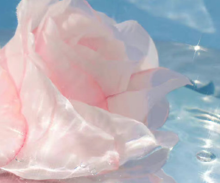 错过了就是一辈子说说 错过了便是一生的句子 错过了就是一辈子说说 错过了便是一生的句子