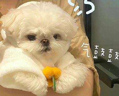 成熟不失魅力签名男生最新 精致感十足的男生签名 成熟不失魅力签名男生最新 精致感十足的男生签名