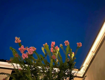 结婚前单身派对的文案 结婚前单身狂欢夜的句子 结婚前单身派对的文案 结婚前单身狂欢夜的句子