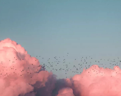 热爱生活的女生签名短句 女生关于生活的唯美句子 热爱生活的女生签名短句 女生关于生活的唯美句子