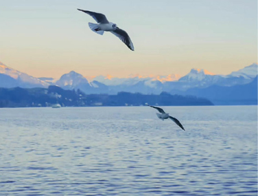 向往自由的文案短句 自由洒脱的高级文案 向往自由的文案短句 自由洒脱的高级文案