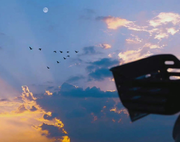 向往自由的文案短句 自由洒脱的高级文案 向往自由的文案短句 自由洒脱的高级文案