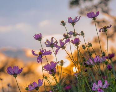 2022十月你好正能量语录 十月问候语温馨正能量 2022十月你好正能量语录 十月问候语温馨正能量