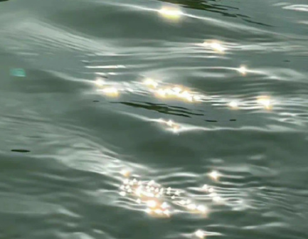 话糙理不糙的经典文案 干脆利落有道理的句子 话糙理不糙的经典文案 干脆利落有道理的句子