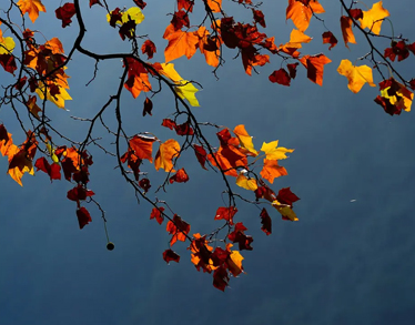 2023十月文艺温柔的语录 人间十月有幸事