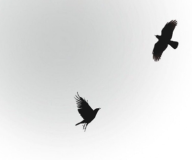 攒够了失望就放手的说说 失望攒够了自然就放下了句子