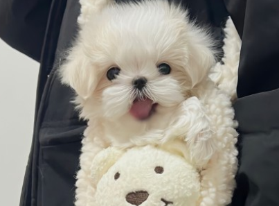 2023最火最潮的签名短句 今年最火的签名短句 2023最火最潮的签名短句 今年最火的签名短句