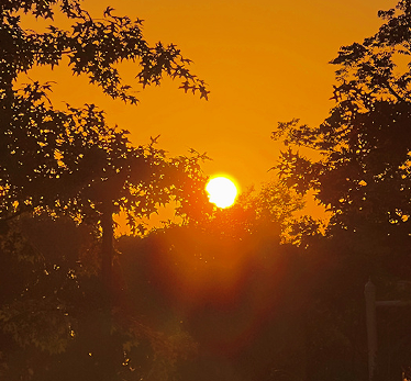 好天气好心情的优美文案 好天气好心情唯美短句 好天气好心情的优美文案 好天气好心情唯美短句