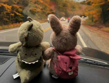 孩子住校妈妈心情说说 牵挂住校孩子不舍的话 孩子住校妈妈心情说说 牵挂住校孩子不舍的话