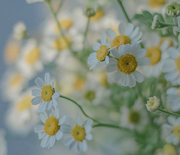 讽刺不是一路人经典文案 三观不同的经典说说