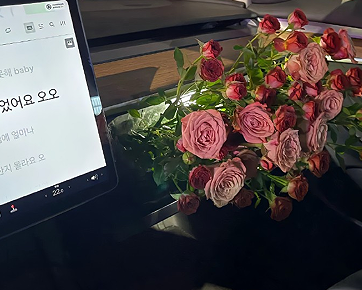 不要让自己留遗憾的说说 过好每天生活的不留遗憾的短句 不要让自己留遗憾的说说 过好每天生活的不留遗憾的短句