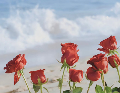 永远失去一个人的伤感说说 失去重要的人的难受句子 永远失去一个人的伤感说说 失去重要的人的难受句子