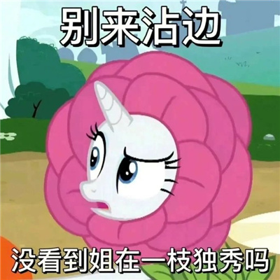 最新版小宝马莉阴阳怪气表情 小宝玛丽疯狂怼人的好用表情合集