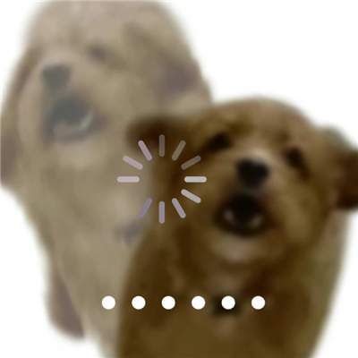 一定要存图的狗狗发疯表情 全网都很火的发疯狗狗表情合集