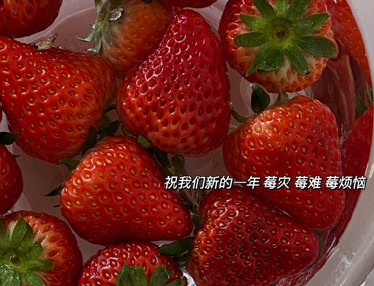 2023好听的新年说说带图片 兔年吉祥语带配图