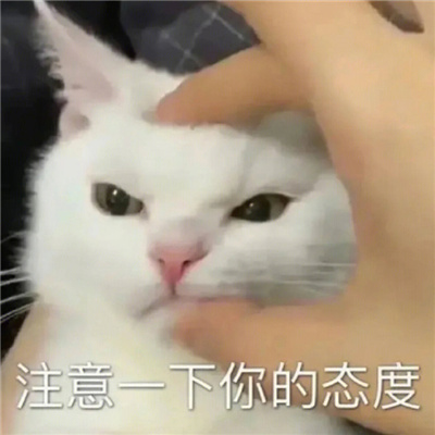 很火热的聊天实用斗图表情 两眼一闭当你放屁