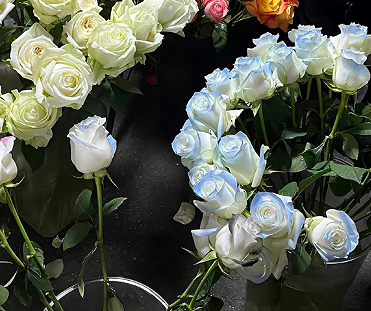 离婚后很潇洒的文案 离婚了解脱了说说 离婚后很潇洒的文案 离婚了解脱了说说