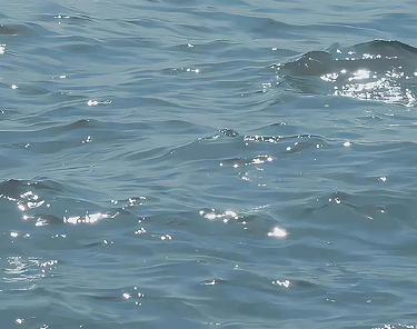 离婚后很潇洒的文案 离婚了解脱了说说 离婚后很潇洒的文案 离婚了解脱了说说