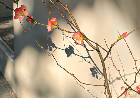 传递正能量的网名带给你的众多好处 怎能累了就说放弃 传递正能量的网名带给你的众多好处 怎能累了就说放弃