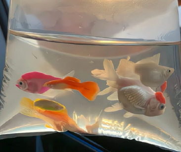 小众可爱个性自用id 爆好用昵称很舒心 小众可爱个性自用id 爆好用昵称很舒心