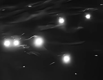 相爱却不能结婚的说说 彼此喜欢却不能走到最后的短句