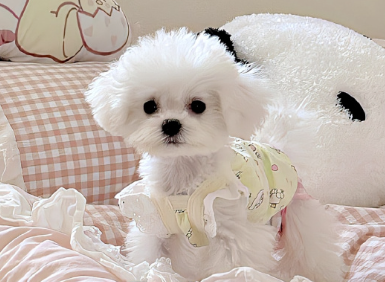 无法跟原生家庭和解的说说 对原生家庭失望的文案 无法跟原生家庭和解的说说 对原生家庭失望的文案