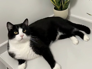 收到礼物发圈微信文案 收到喜欢礼物的开心短句