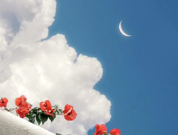 收到礼物发圈微信文案 收到喜欢礼物的开心短句 收到礼物发圈微信文案 收到喜欢礼物的开心短句