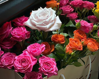 简约四字短句微信朋友圈文案 高人气的四字简洁语录 简约四字短句微信朋友圈文案 高人气的四字简洁语录