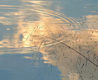 可可爱有趣ins文案大全 简短可爱系列的ins语录 可可爱有趣ins文案大全 简短可爱系列的ins语录