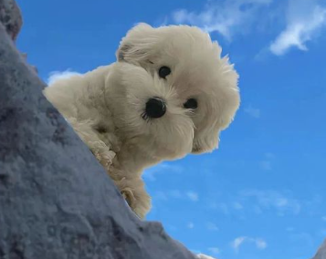 偏爱小众网名id诗意 岁月静好的网名 偏爱小众网名id诗意 岁月静好的网名