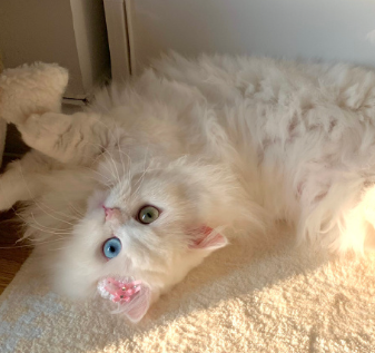 占有欲很强的霸气签名 霸气签名很酷又很洋气 占有欲很强的霸气签名 霸气签名很酷又很洋气