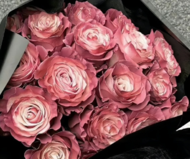 陪你走过人生至暗时刻的文案 带你走出黑暗的励志短句 陪你走过人生至暗时刻的文案 带你走出黑暗的励志短句