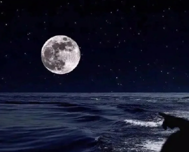 感觉很累很累很累的句子 一句比一句让人心疼的文案