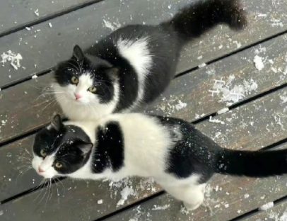 相爱的人渐行渐远的说说 两个人渐行渐远的短句 相爱的人渐行渐远的说说 两个人渐行渐远的短句