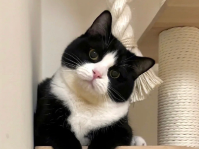 相爱的人渐行渐远的说说 两个人渐行渐远的短句 相爱的人渐行渐远的说说 两个人渐行渐远的短句