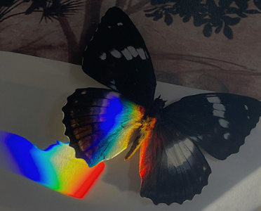 忘记一个人的霸气说说 狠心忘记一个人的句子 忘记一个人的霸气说说 狠心忘记一个人的句子