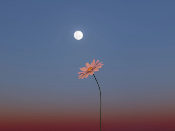 爱与被爱同时发生的说说 爱和被爱都是相互的句子 爱与被爱同时发生的说说 爱和被爱都是相互的句子