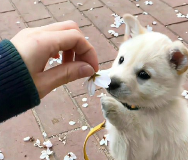 拒绝精神内耗有事直接发疯的说说 拒绝精神内耗的朋友圈文案