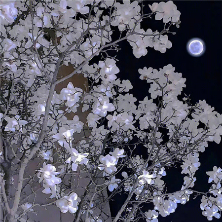 表达自己很无聊的好看图片合集 日落总是和你一样止不住心动