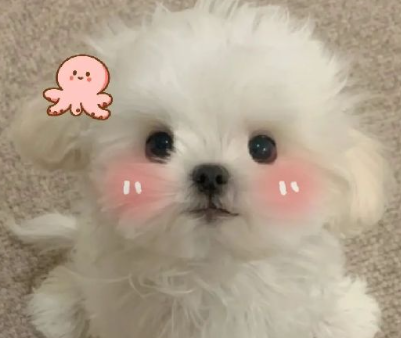 三观很正的心动签名无关爱情 很暖很好用的签名大全 三观很正的心动签名无关爱情 很暖很好用的签名大全