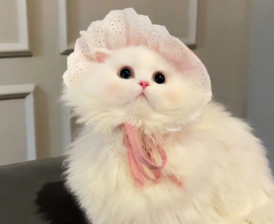 怼键盘侠的经典句子不带脏字 怒怼键盘侠的语录 怼键盘侠的经典句子不带脏字 怒怼键盘侠的语录