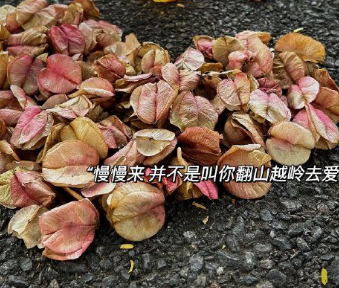 适合告别的文艺句子 挥别过去的唯美句子 适合告别的文艺句子 挥别过去的唯美句子