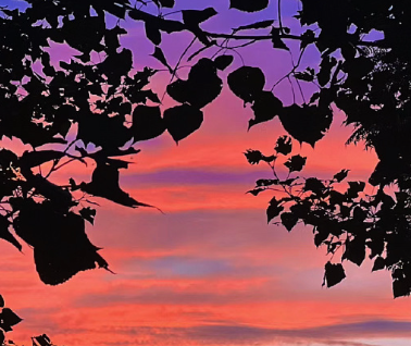 适合告别的文艺句子 挥别过去的唯美句子 适合告别的文艺句子 挥别过去的唯美句子