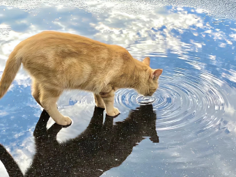 让人心疼的朋友圈文案短句 让人看着落泪的短句 让人心疼的朋友圈文案短句 让人看着落泪的短句