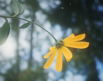自己选择的路伤感句子 自己选择的路自己承受的说说 自己选择的路伤感句子 自己选择的路自己承受的说说